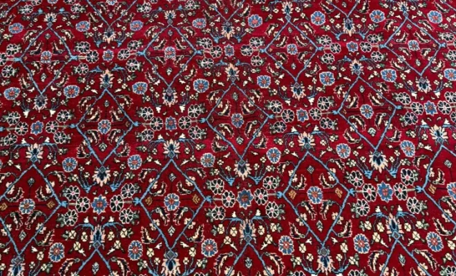 Tapis persan Bidjar – Iran – 298 × 193 cm