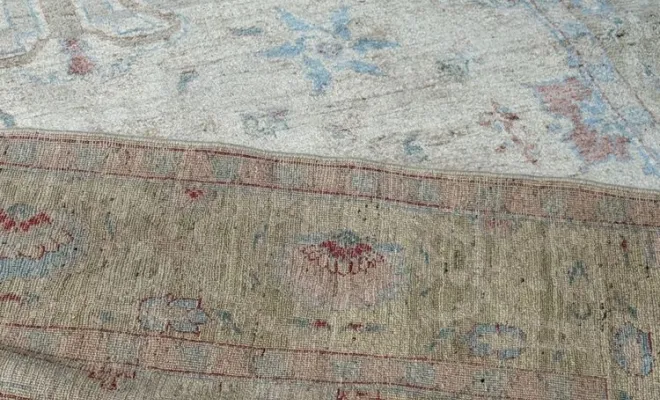 Tapis Shobi Ziegler – 286 x 184 cm – Élégance douce et motifs raffinés